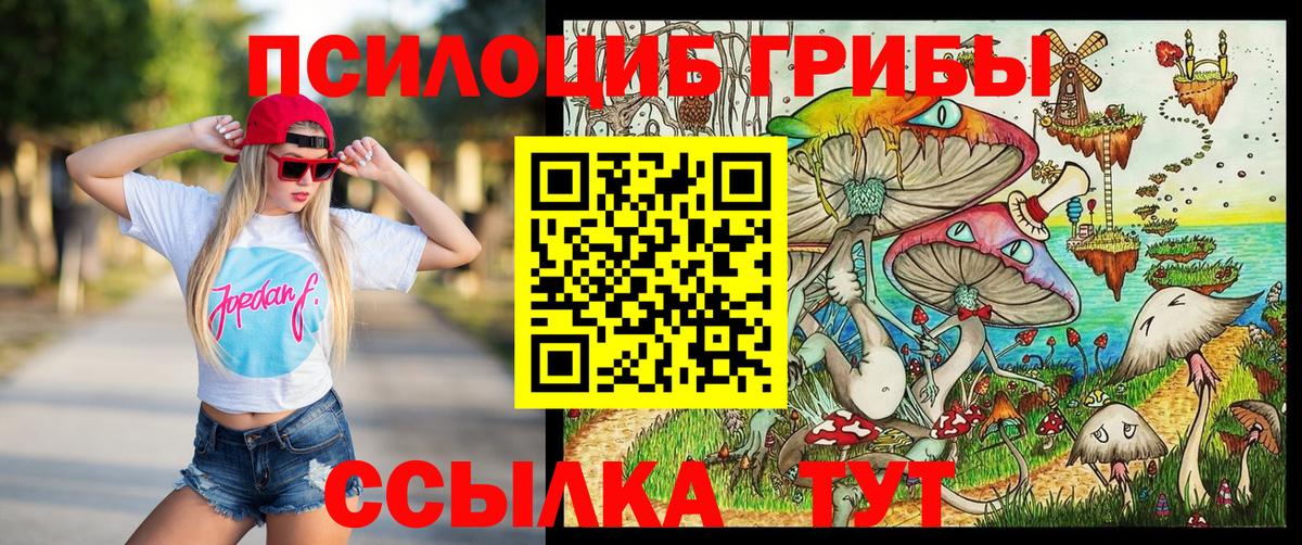 Галлюциногенные грибы Psilocybe Саянск