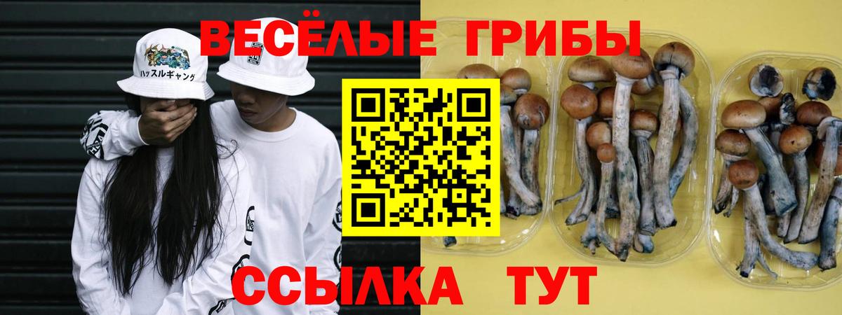 купить наркотики цена  Галлюциногенные грибы Magic Shrooms  Вход с VPN  Саянск 